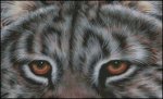 (image for) Eyes of the Predator